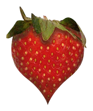 coeur animation